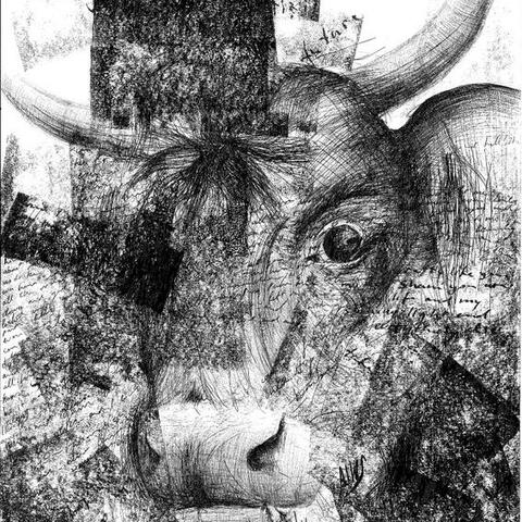 Black and white hand-drawn artwork of a cow