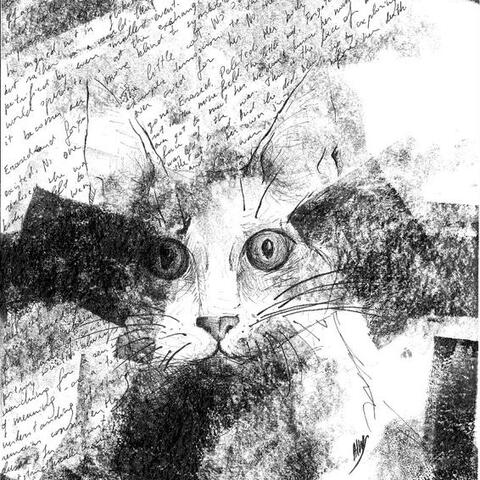 Black and white hand-drawn artwork of a cat
