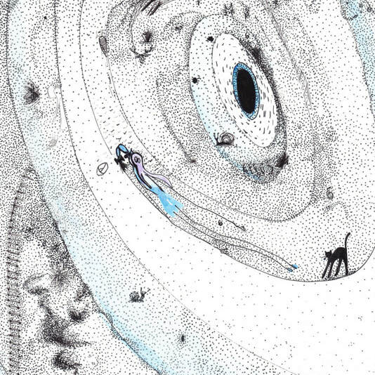 detailed drawing of a black hole and many objects in it